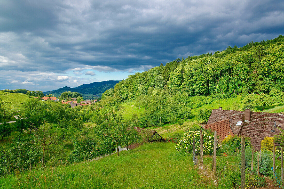 Sasbachwalden, Baden Wurttemberg, Germany, summer scenery, rain clouds, lighting, investigation, , Black Forest, farmhouse, sky, , ,