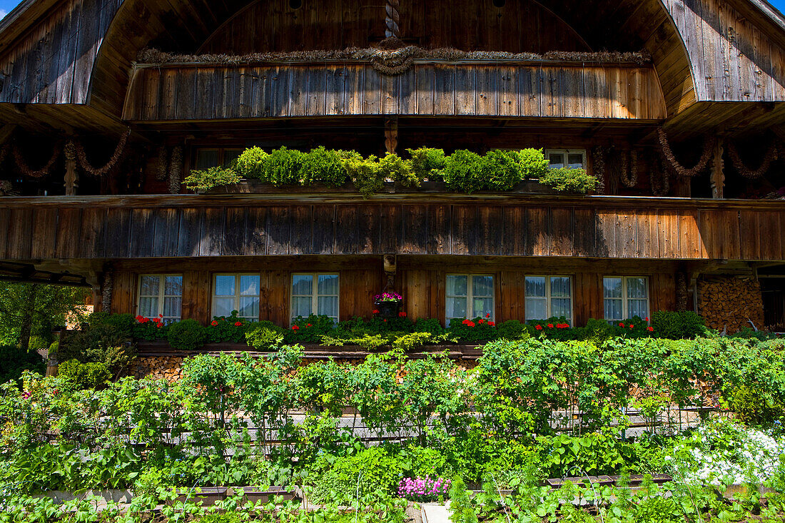 Unterlangenegg, Switzerland, Europe, canton Bern, Emmental, house, home, timber house, farmhouse, farm garden