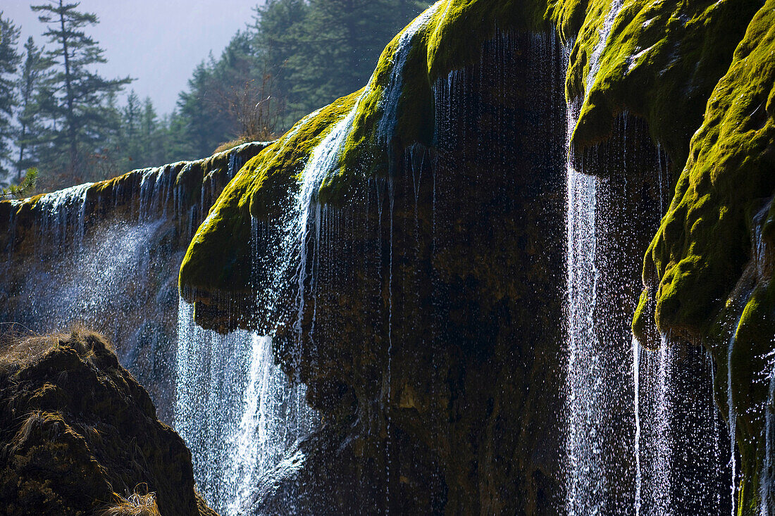 Jiuzhaigou, Pearl Shoal fall, China, Asia, national park, spring, waterfall, moss, tuff stone, wood, forest,