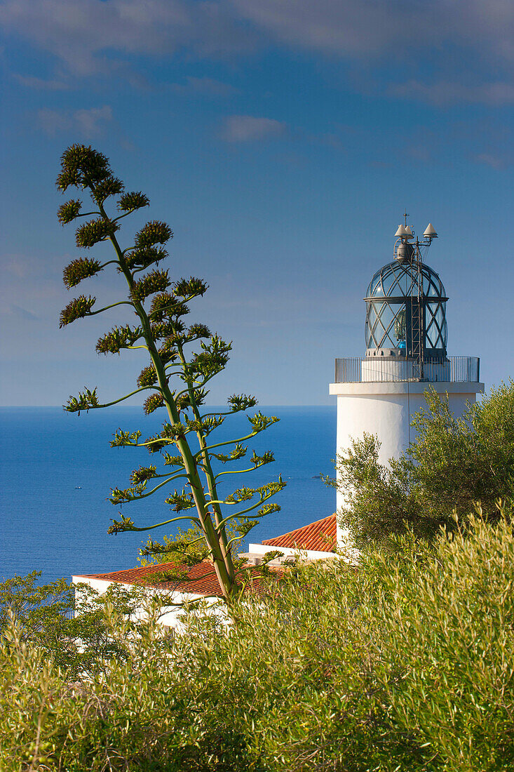 Cap de San Sebastia, Spain, Europe, Catalonia, Costa Brava, sea, Mediterranean Sea, coast, lighthouse, agaves