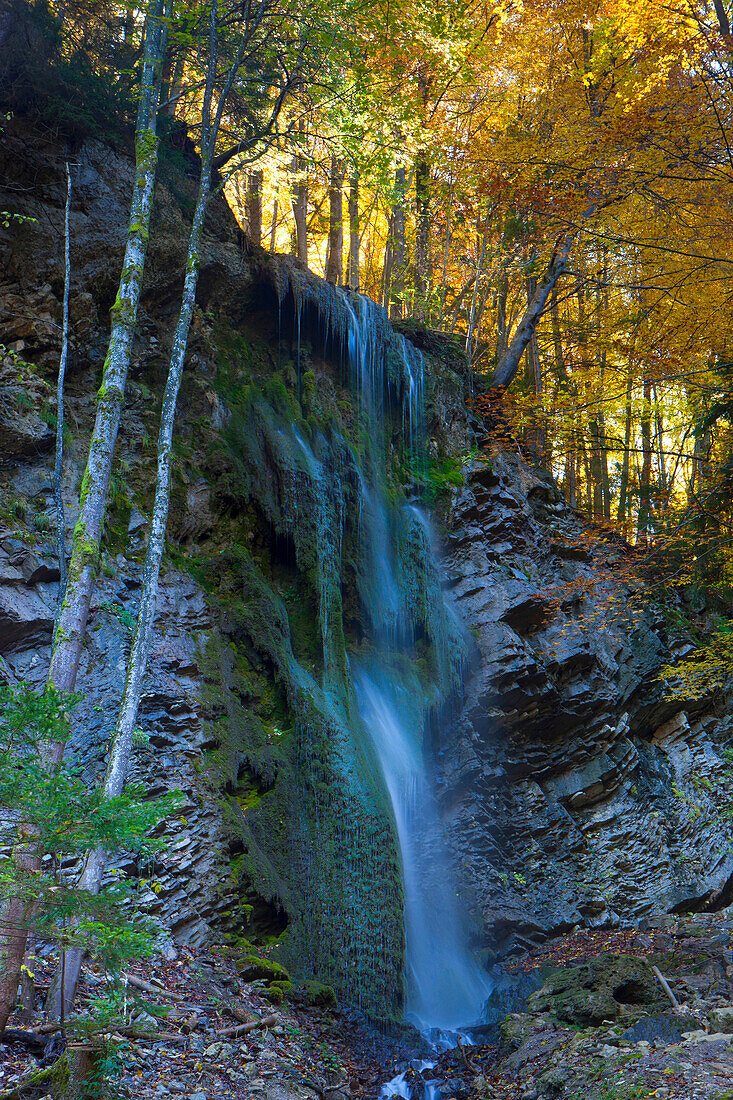 Jaunbach canyon, Switzerland, Europe, canton Freiburg, rock, cliff, brook, Bach, waterfall, trees, wood, forest, autumn