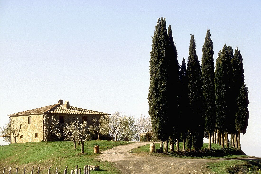 Mediterranean landscape with cypresses and a country home with a natural stone facade