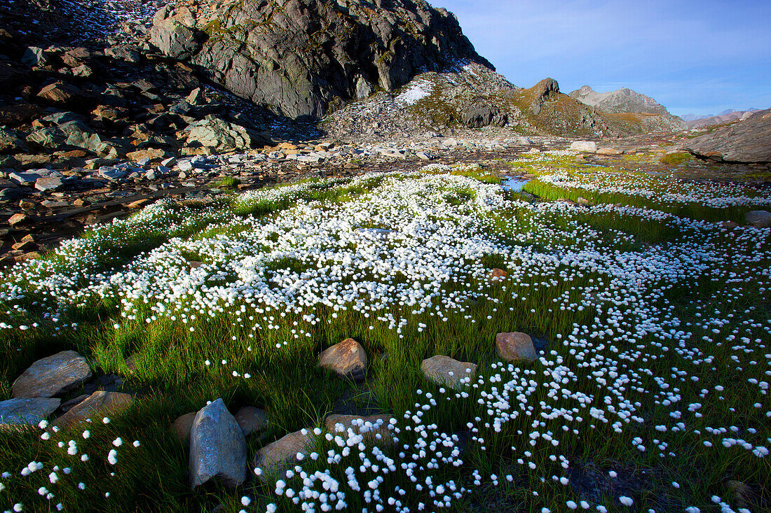 Nanny_goat path, Geisspfad, pass, Switzerland, canton Valais, nature reserve, valley of Binn, mountain, rock, cliff, cotton grass