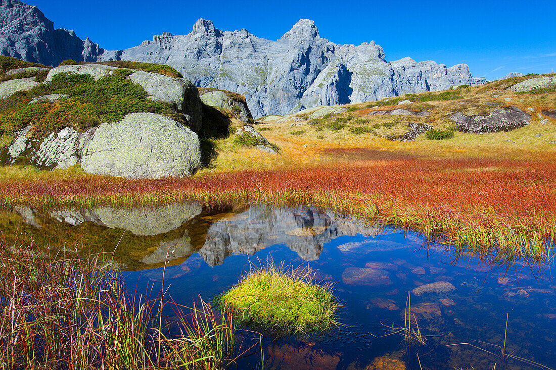 Obersee, Switzerland, canton Uri, nature reserve, Urschweiz, Erstfeld valley, lake, mountain lake, reflection, marsh, moss, mountains