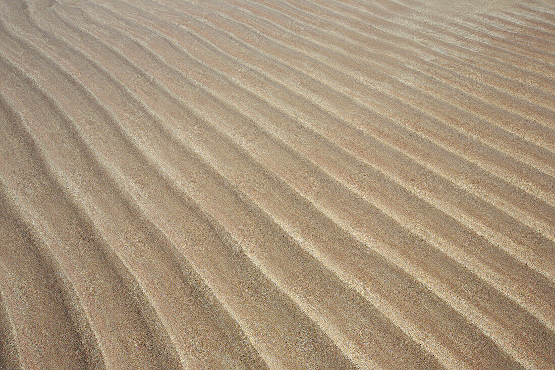 Detail, ebb, tide, form, shape, forms, shapes, water, Great Britain, Highland, highlands, coast, line, lines, sea, seashore, pattern, concepts, close-up, nature, North Sea, Rippels, sand, sand beach, sand structure, Scottish highlands, Scotland, summer, b