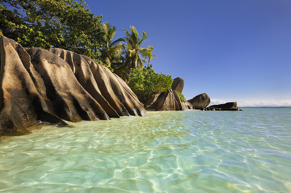 Famous beach Anse Source d'Argent with palm trees and sculpted rocks, La Digue Island, Seychelles, Indian Ocean.