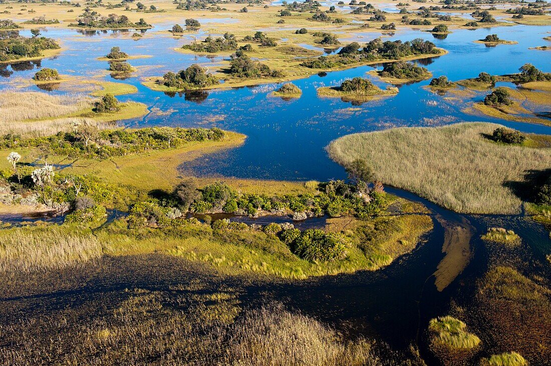 Aerial view of Okavango Delta, Botswana