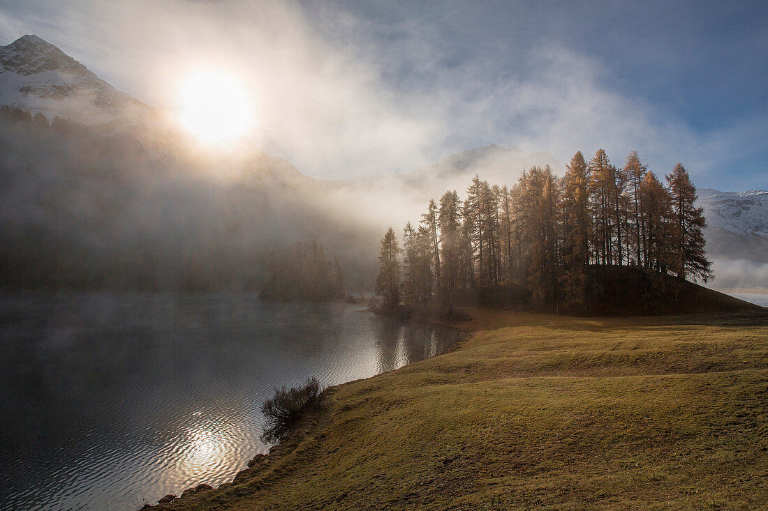 Engadin, Engadine, Champferersee, morning fog, autumn, wood, forest, canton, GR, Graubünden, Grisons, Unterengadin, Lower Engadine, lake, lakes, tree, trees, fogs, sea of fog, Switzerland, Europe,