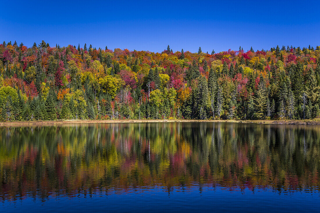 Brilliant fall foliage reflections in La Maurice National Park, Quebec, Canada.