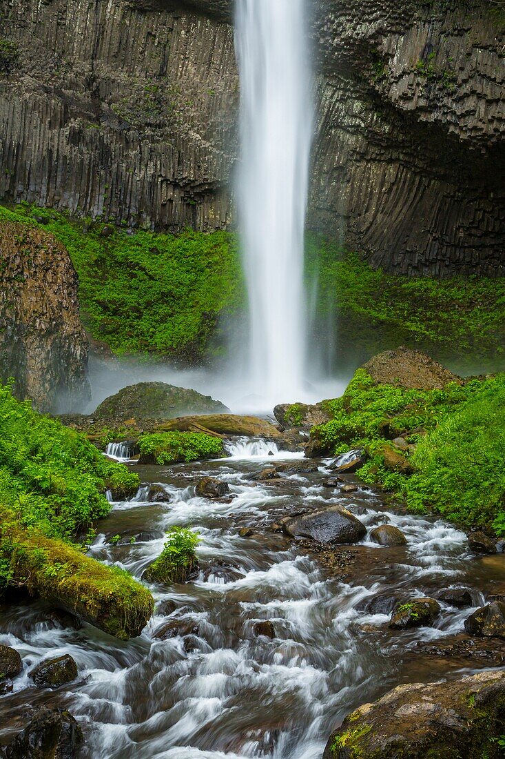 Latourell Falls in the Columbia River Gorge, Oregon, USA.