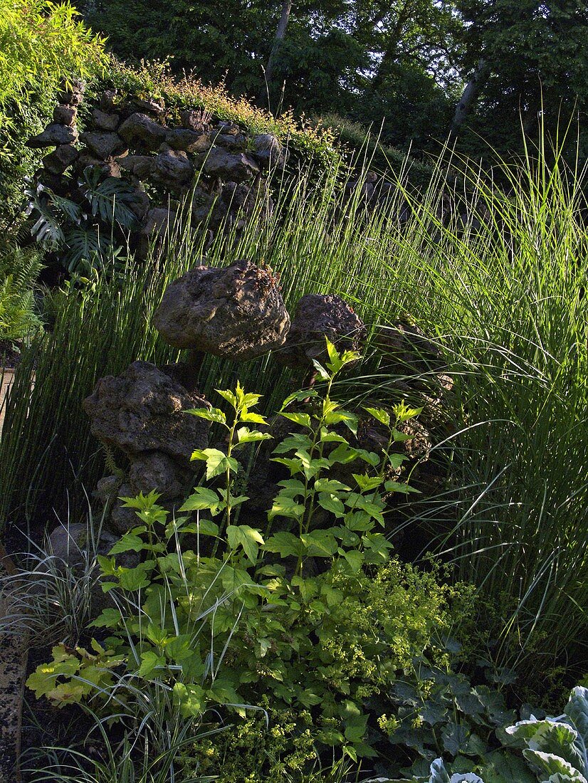 Wilder Garten und Felsbrocken