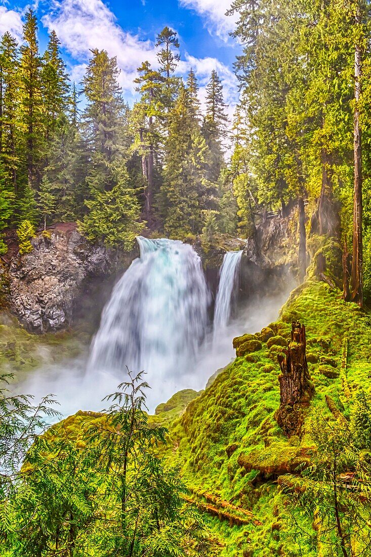 The Sahalie Falls in the Willamette National Forest, Oregon, USA.