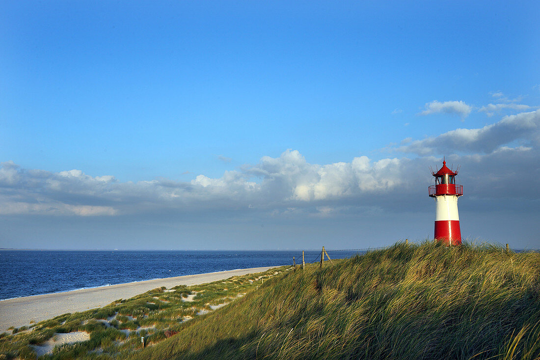 Lighthouse List East with beach and North Sea at sunset, Sylt, North Frisian Islands, Schleswig-Holstein, Germany, Europe.
