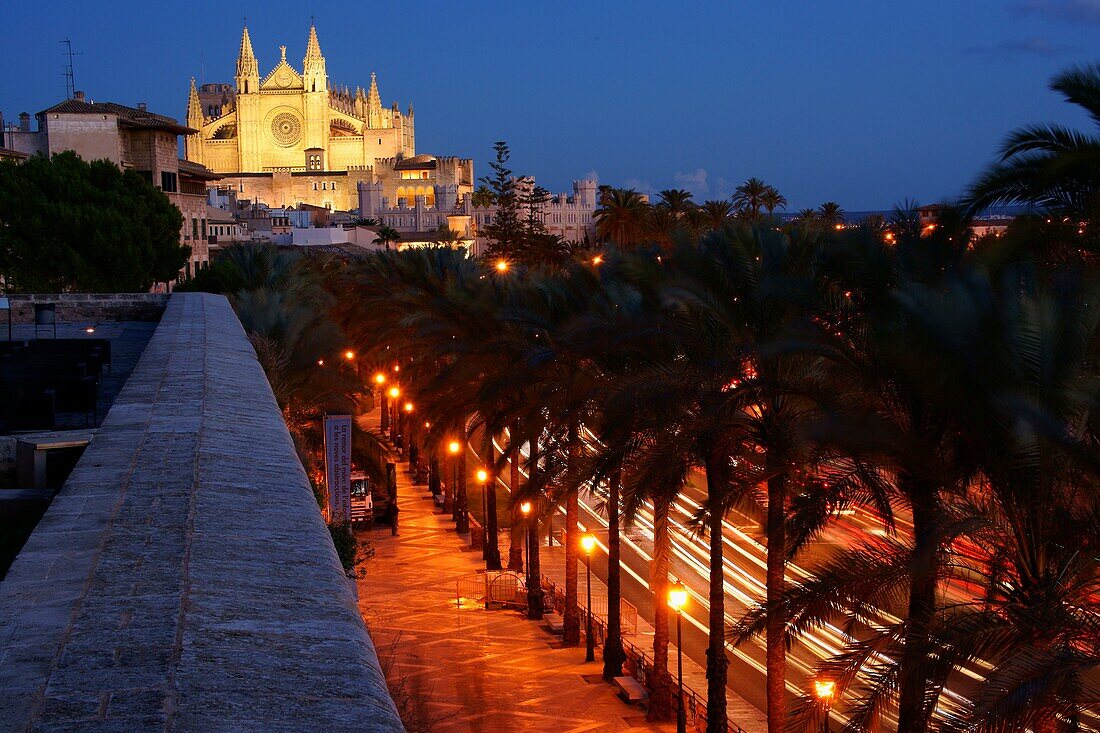 Catedral de Mallorca von der Terrasse des Museums Baluard, museu dArt Modern i Contemporani de Palma Mallorca Balearen Spanien