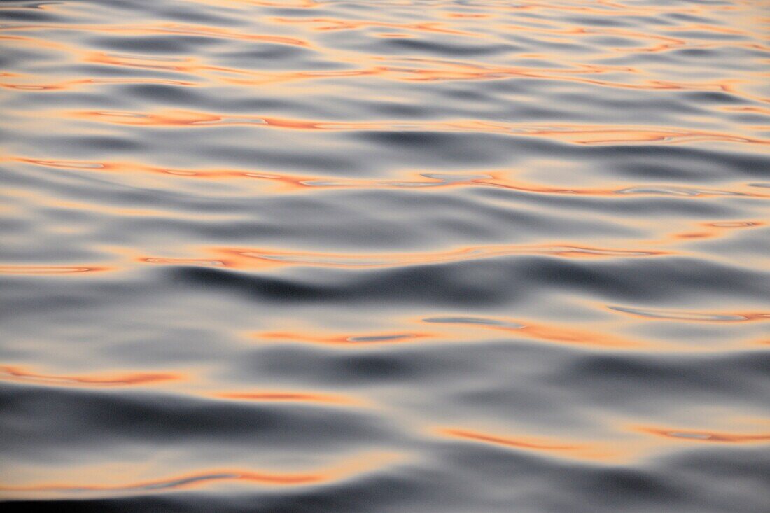 Gulf waters with dawn reflections