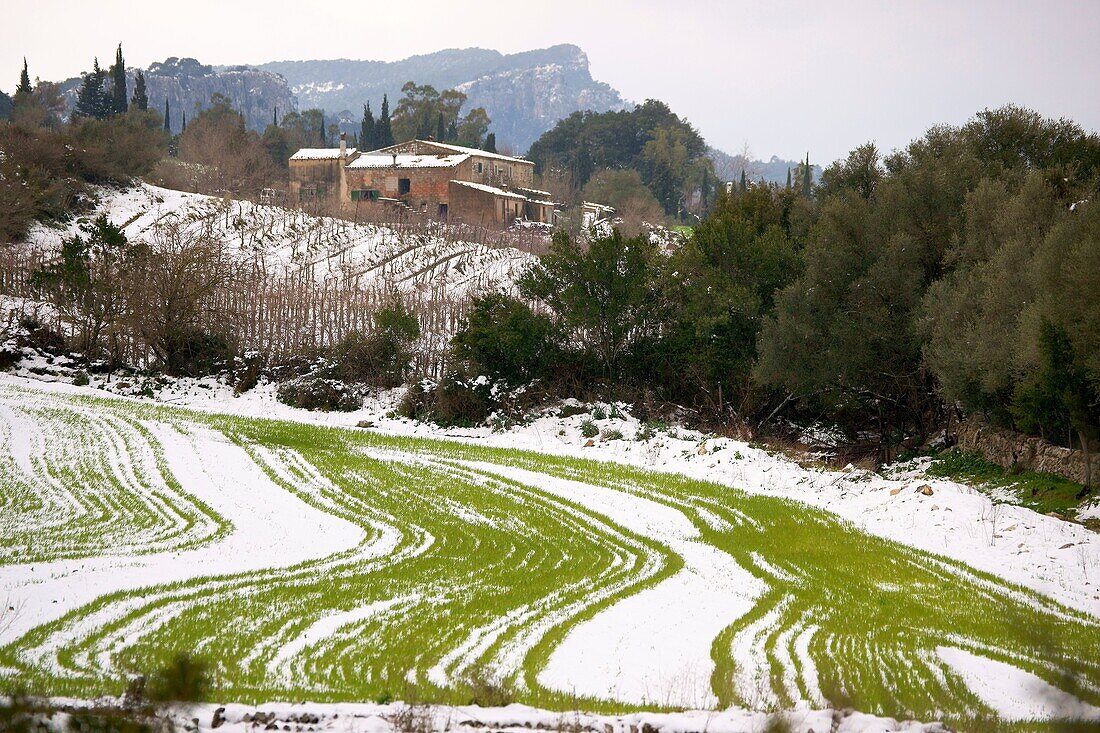 Son Bernadas Tramuntana Orient Bunyola Mallorca Spanien Balearen