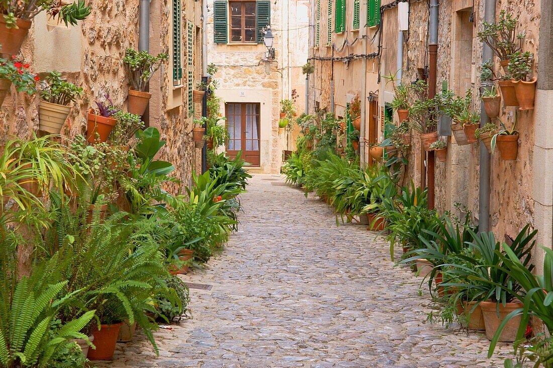 Sierra de Tramuntana Valldemossa Balearische Inseln Mallorca Spanien