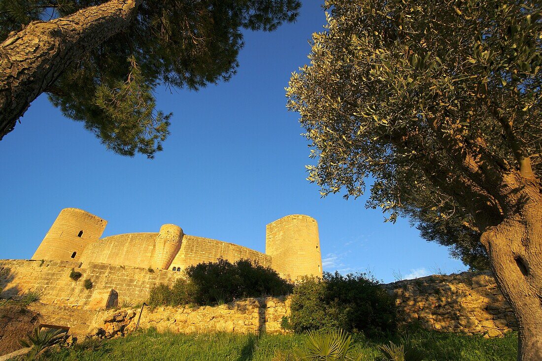 Schloss Bellver aus dem XIV. Jahrhundert, Palma Mallorca, Balearen Spanien