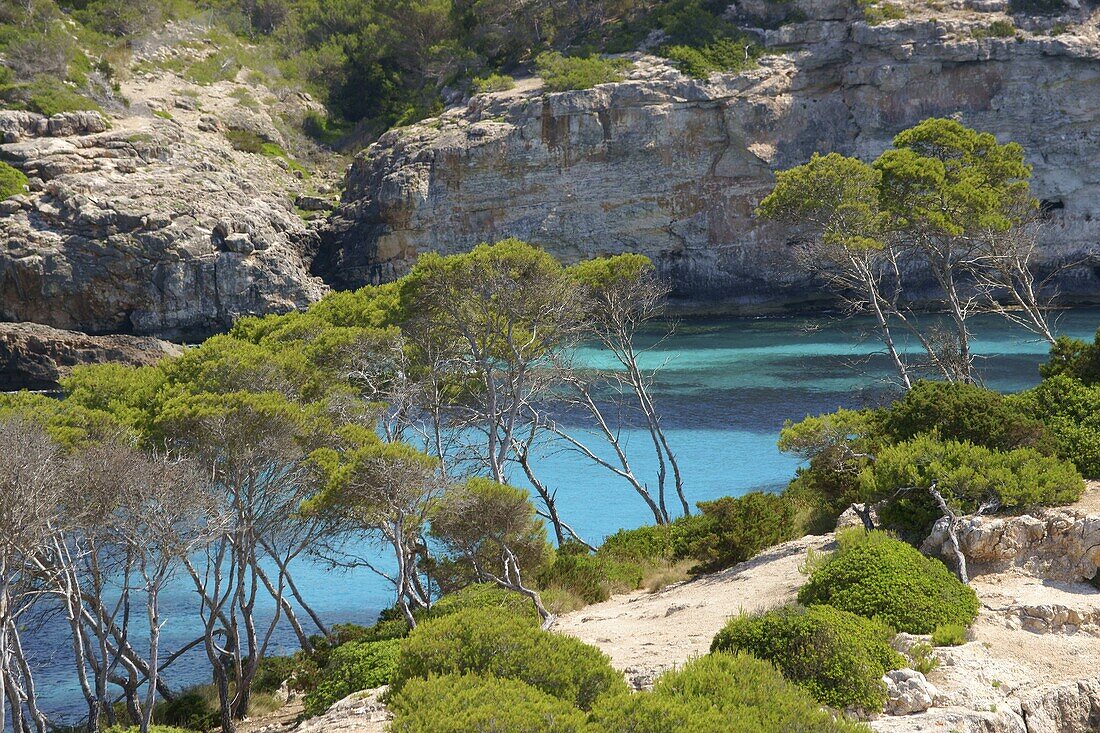 Caló des Moro Bucht, Santanyi, Migjorn, Mallorca, Balearen, Spanien