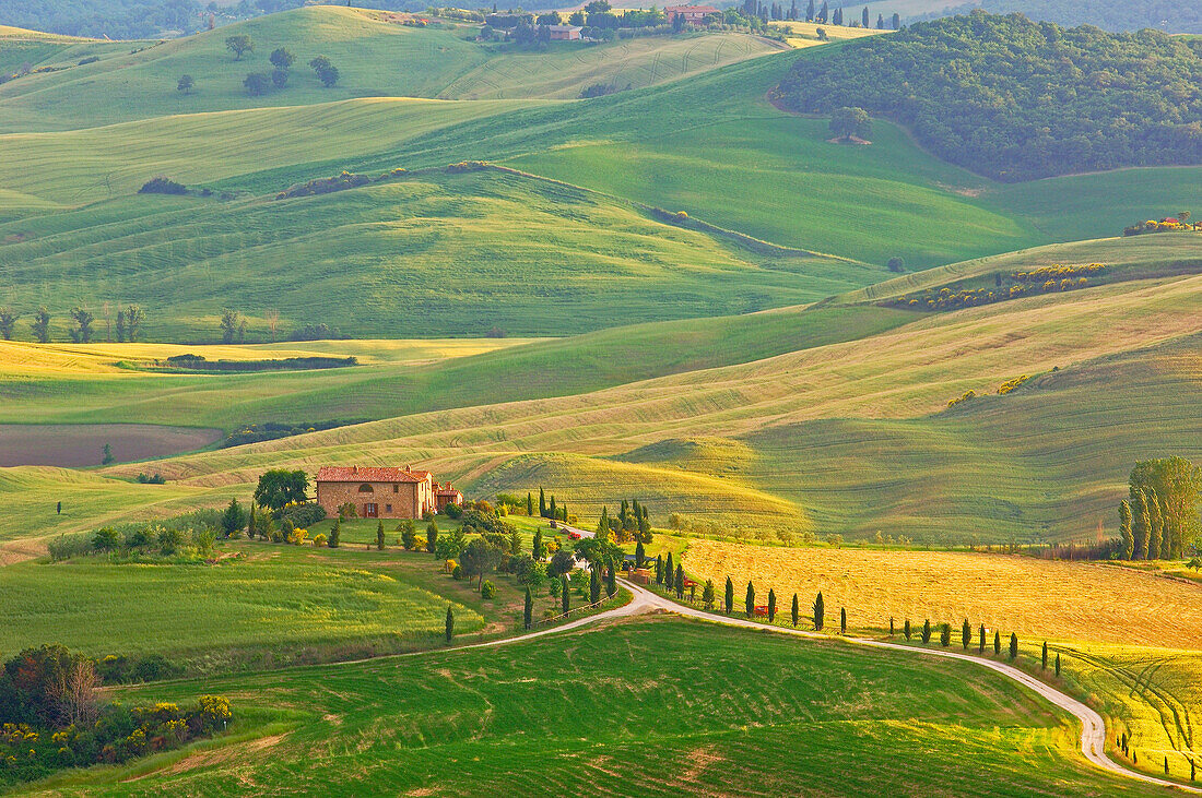 Pienza, Val dOrcia, Orcia Valley, Fields and Farmhouse, Tuscany Landscape, UNESCO world heritage site, Siena Province, Tuscany, Italy, Europe.