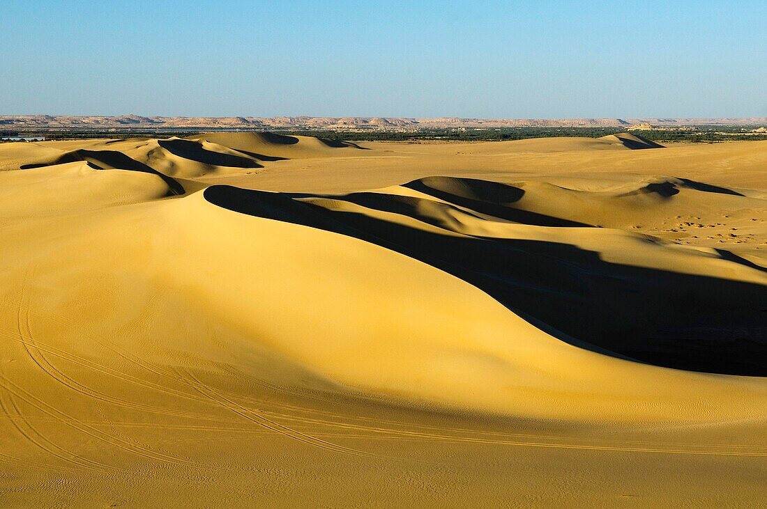 beautiful sand dunes at sunset near Siwa Oasis in Egypt