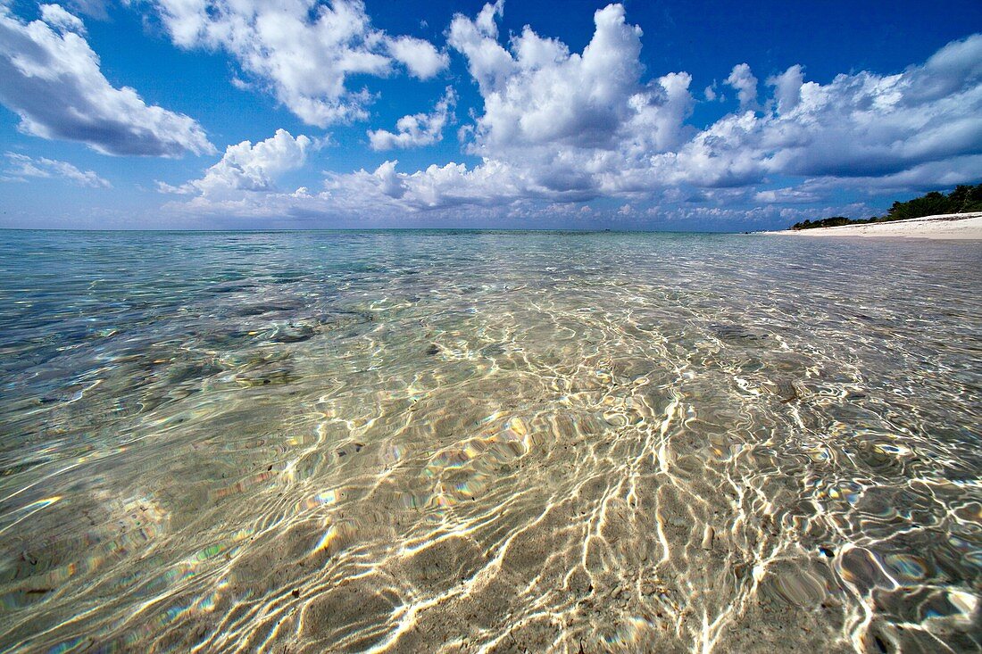 Sand beach in Cozumel, Mexico