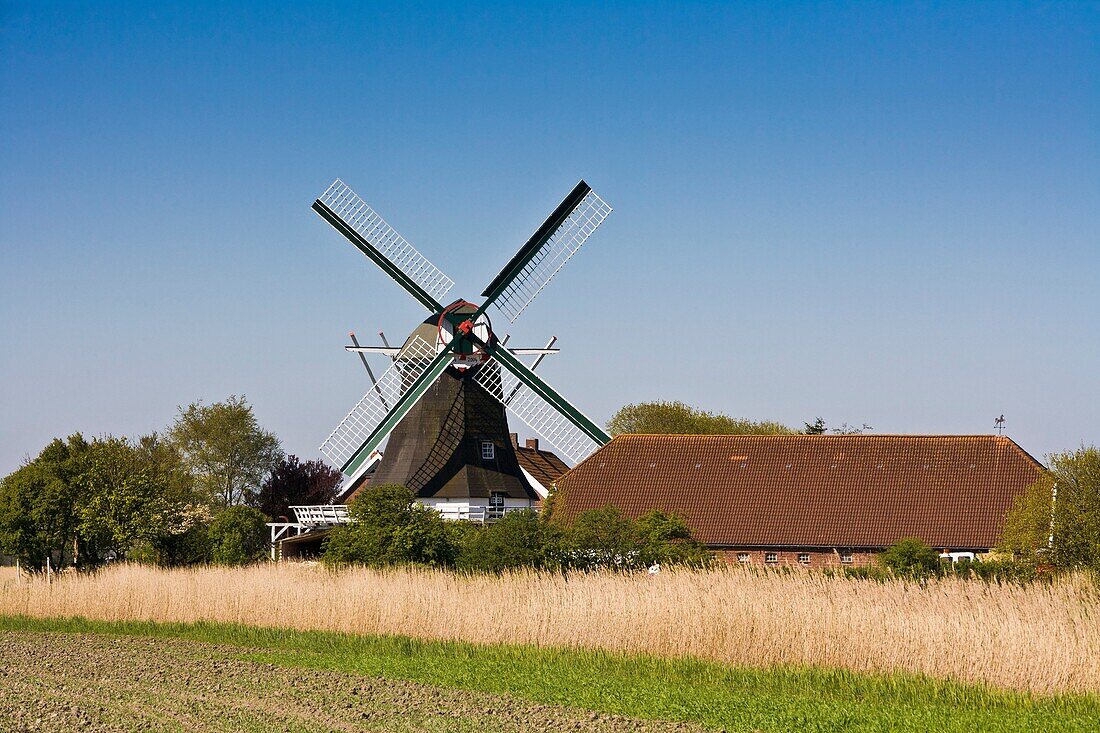 Winmill in the dutch style in Seriem, East Frisia, Lower Saxony, Germany, Europe