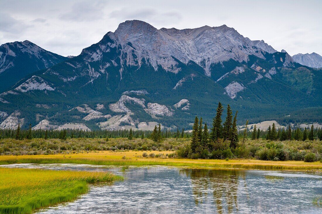 Pocahontas Ponds in the Japser National Park, Alberta, Canada