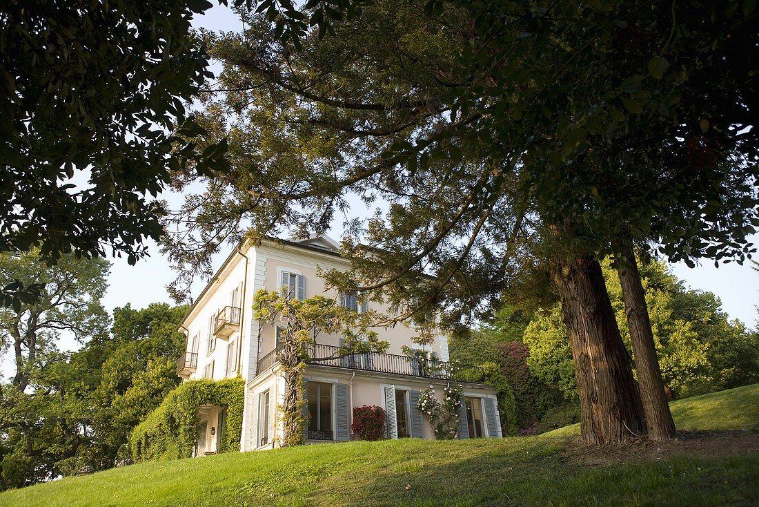 Multi-story villa in a garden with old trees