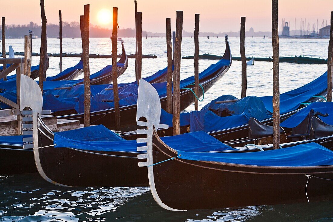 Gondolas at sunrise, Venice, Italy, Europe