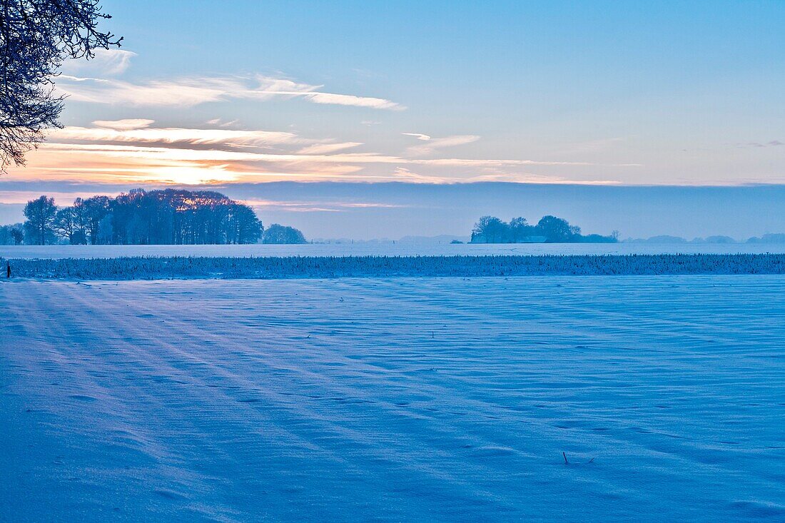 Winter landscape at dusk, Lower Saxony, Germany, Europe