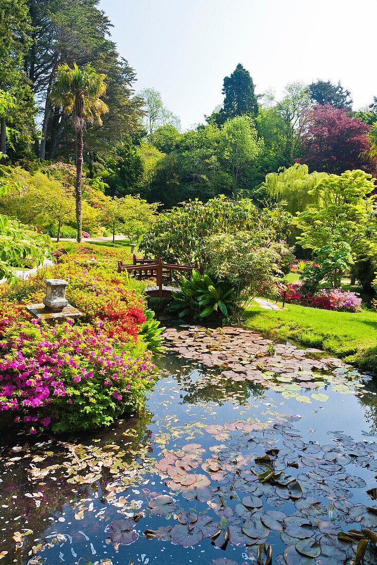 Colorful gardens in County Wicklow, Ireland, Europe