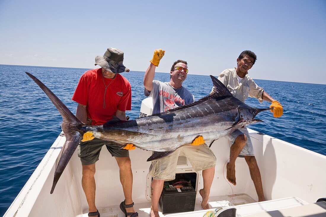 Sport fishing in Drake Bay, Costa Rica  Hauling in a Blue Marlin Makaira nigricans