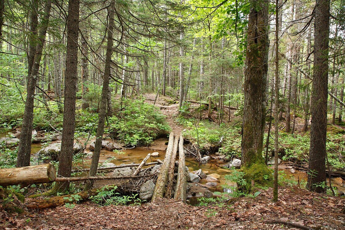 Pemigewasset Wilderness - Foot bridge along Nancy Pond Trail which crosses Notch Brook in Lincoln, New Hampshire USA  This trail follows the old East Branch & Lincoln Railroad bed which was a logging railroad that operated from 1893 - 1948