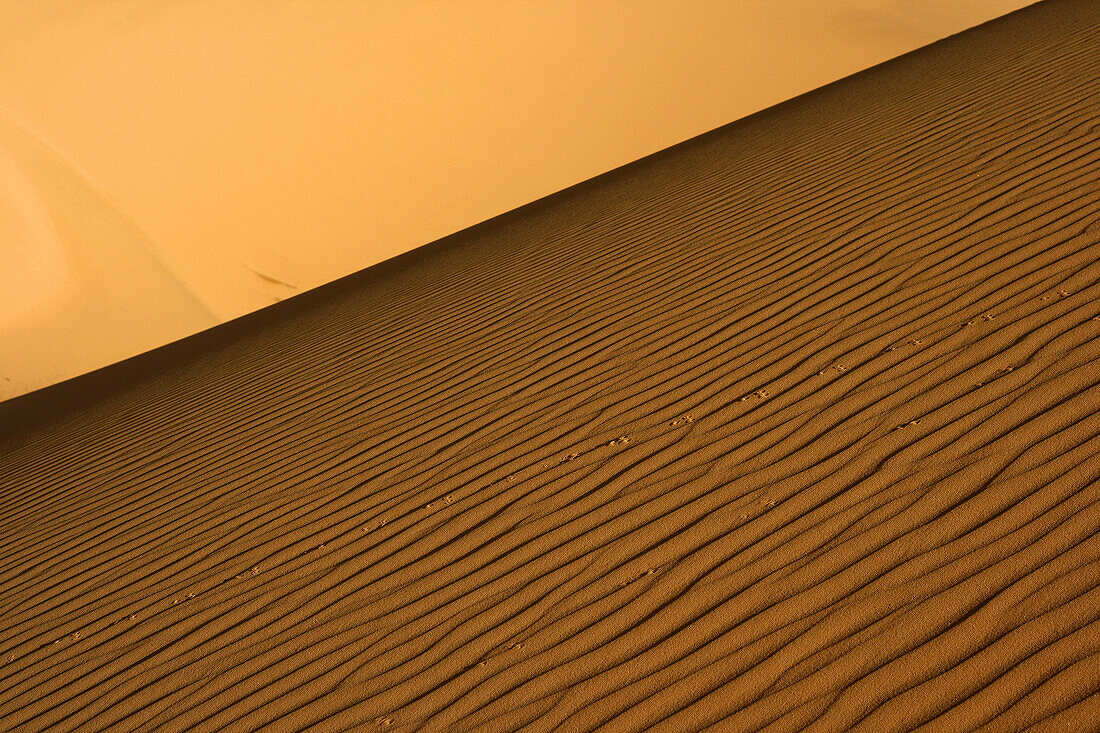 Oued Tin Tarabine. Tassili Ahaggar. Sahara desert. Algeria.