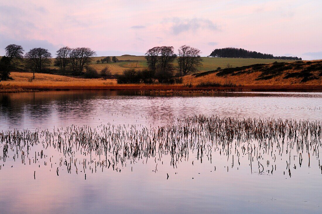 A winters view at dawn over a pond at Priddy Mineries towards North Hill in the Mendip Hills, Priddy, Somerset, England, United Kingdom