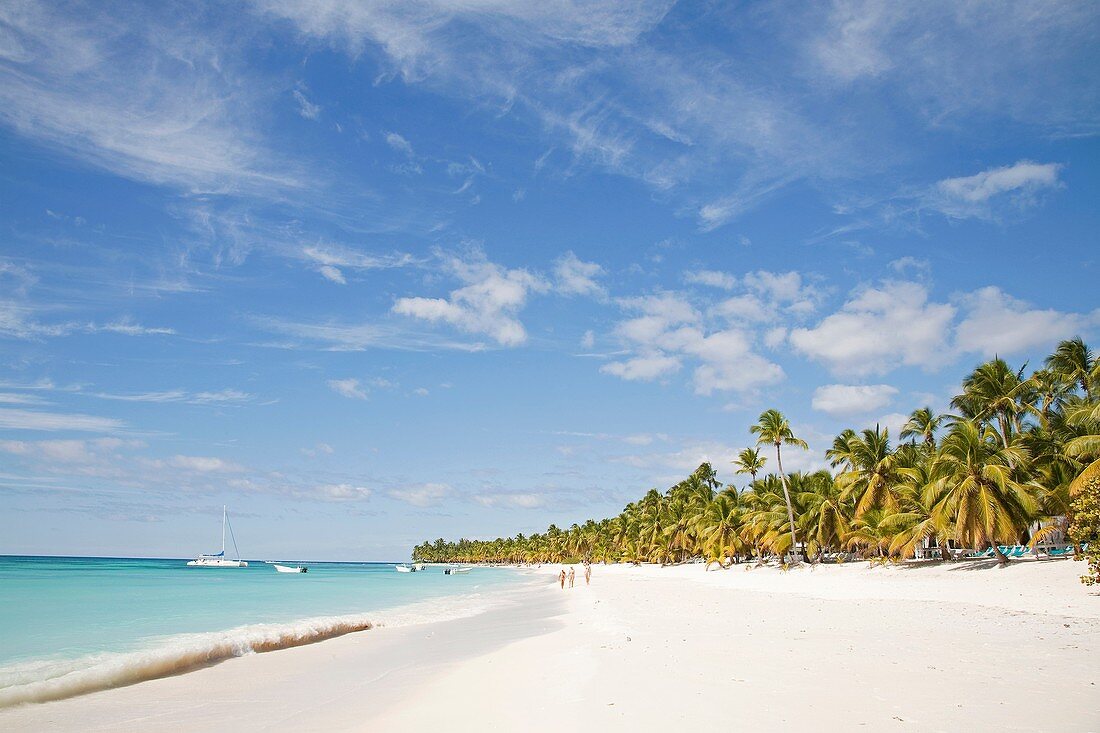 america, caribbean sea, hispaniola island, dominican republic, saona island, sea and beach with palms