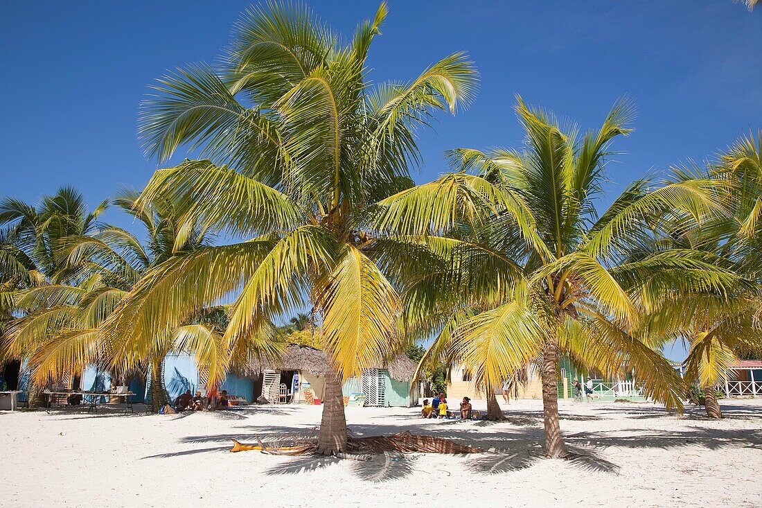 america, caribbean sea, hispaniola island, dominican republic, saona island, palms on the beach