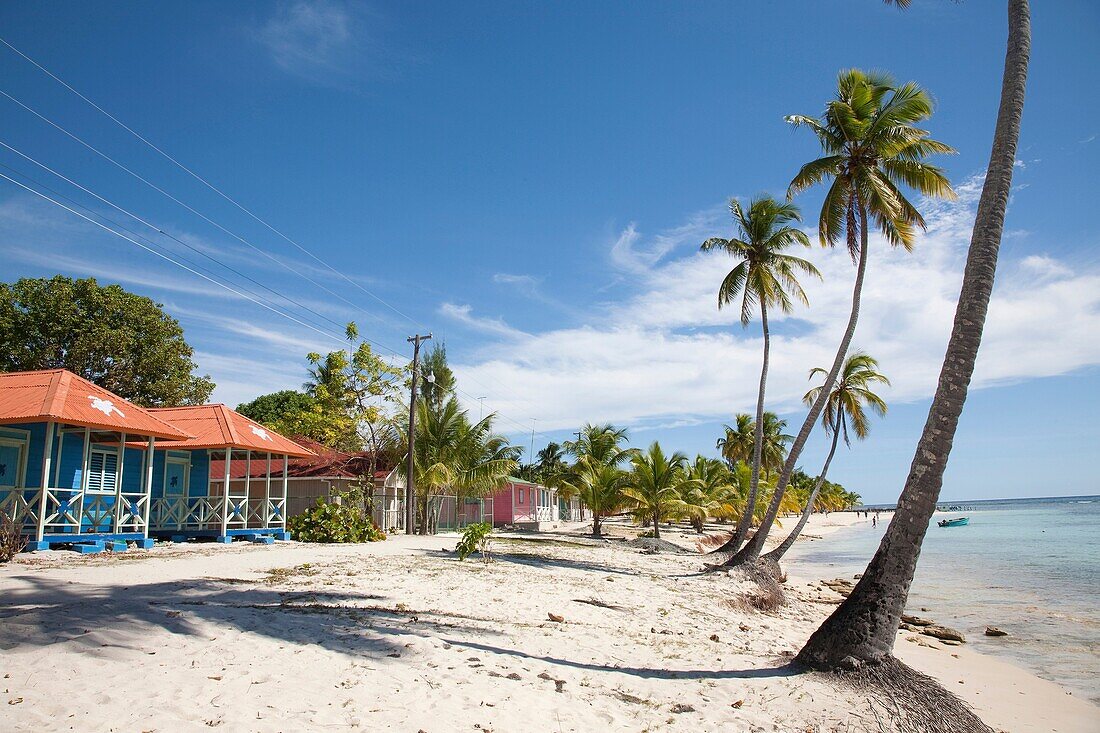 Village and palms on the beach. Saona Island, Dominican Republic, Caribbean.