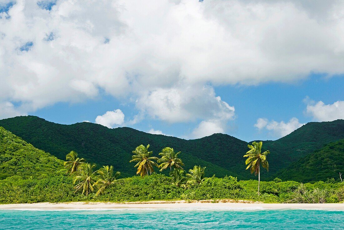 Tobacco Beach, South East Coast, Antigua, West Indies, Caribbean, Central America