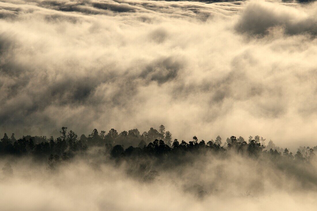 Morning fog  A Cañiza, Pontevedra, Galicia, Spain