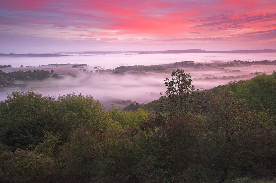 Misty Dawn on the South Downs nr Elsted West Sussex