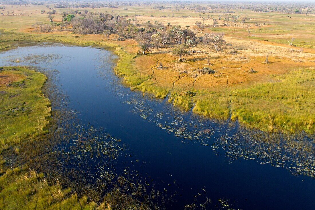Aerial view of the Okavango Delta, Botswana. The vast inland delta is formed from the Okavango River. This flows into the Delta, creating a beautiful mosaic of water channels, grasslands, forests and lagoons. The water never reaches the sea, instead empty