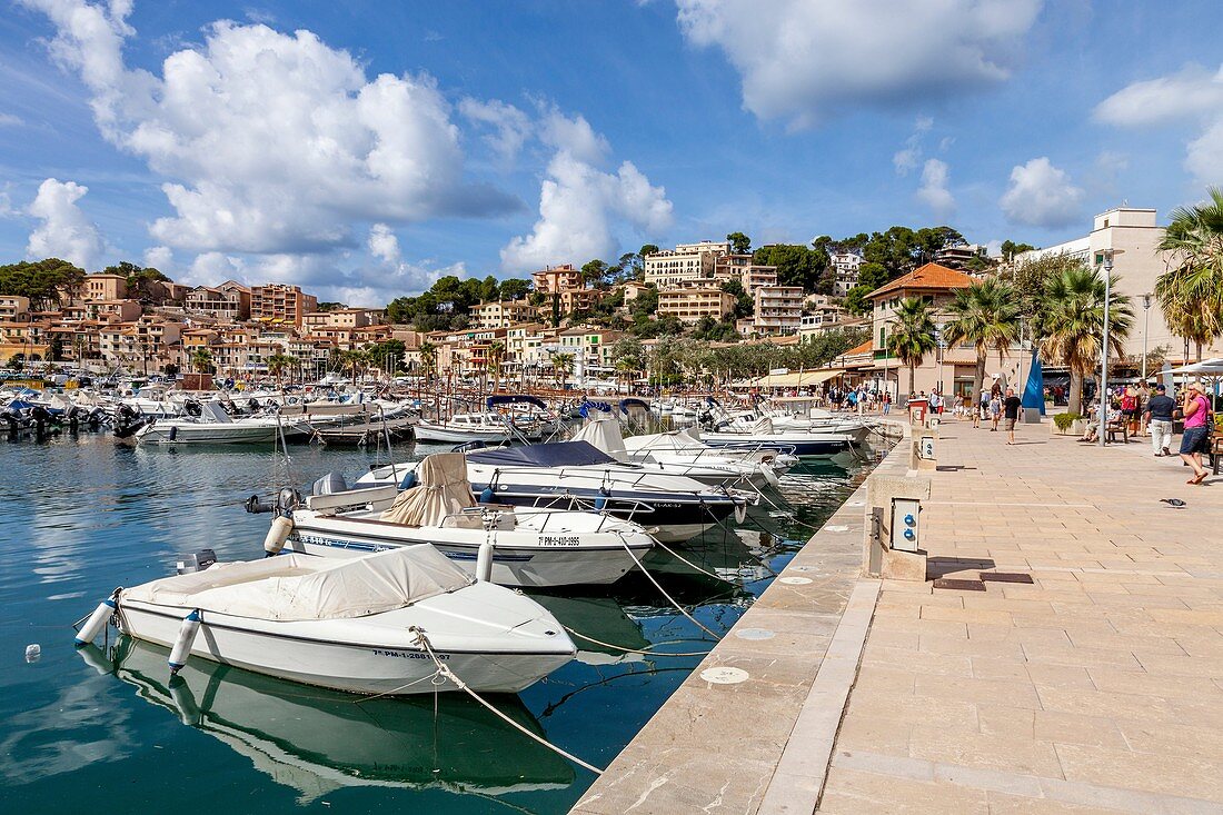 The Harbour, Port de Soller, Mallorca - Spain.