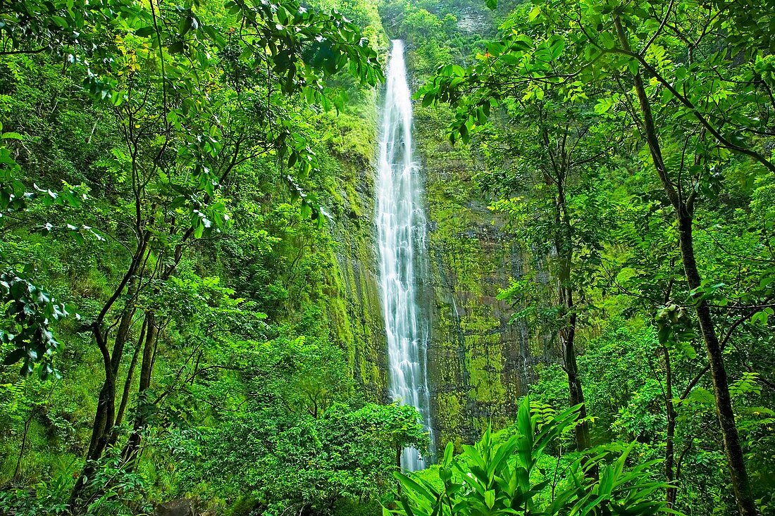 Waimoku Falls, Haleakala National Park, Maui, Hawaii