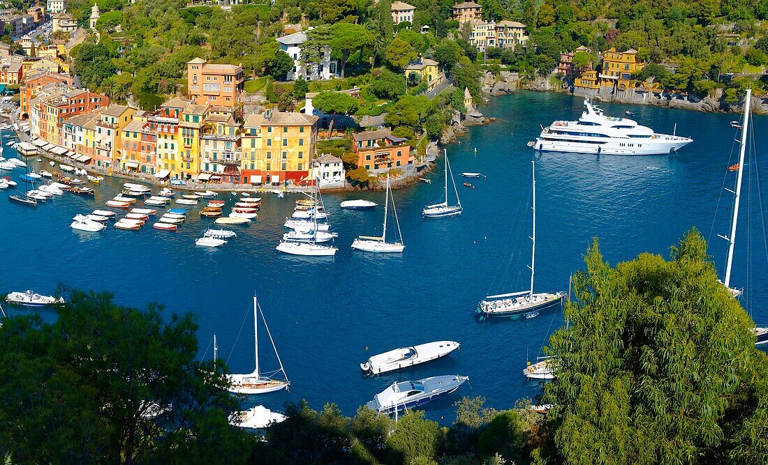 Harbour of Portofino  fashionable seaside fishing village for the wealthy  Ligurian Coast  Italy