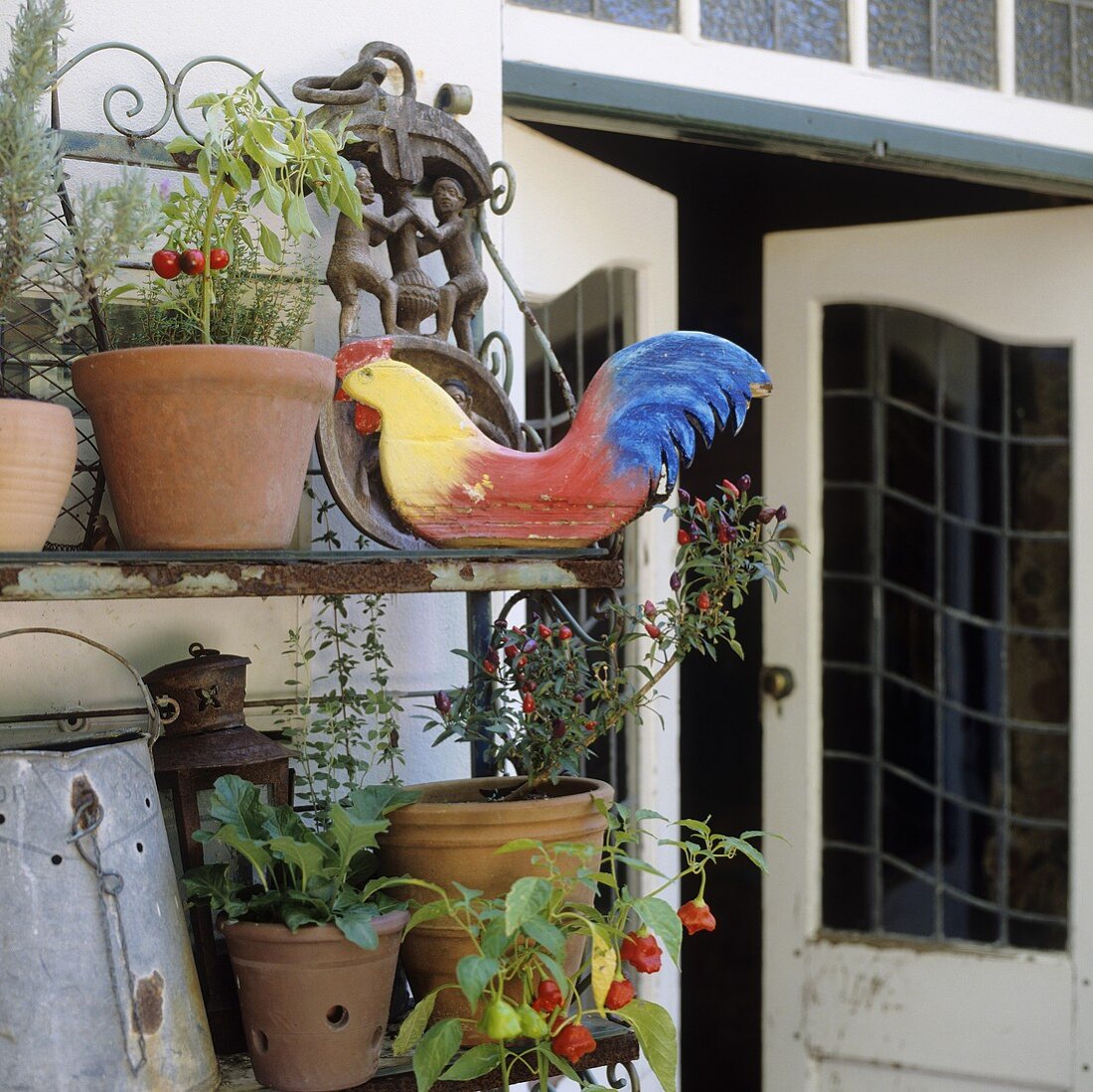 A rusty flowerpot shelf and an open terrace door