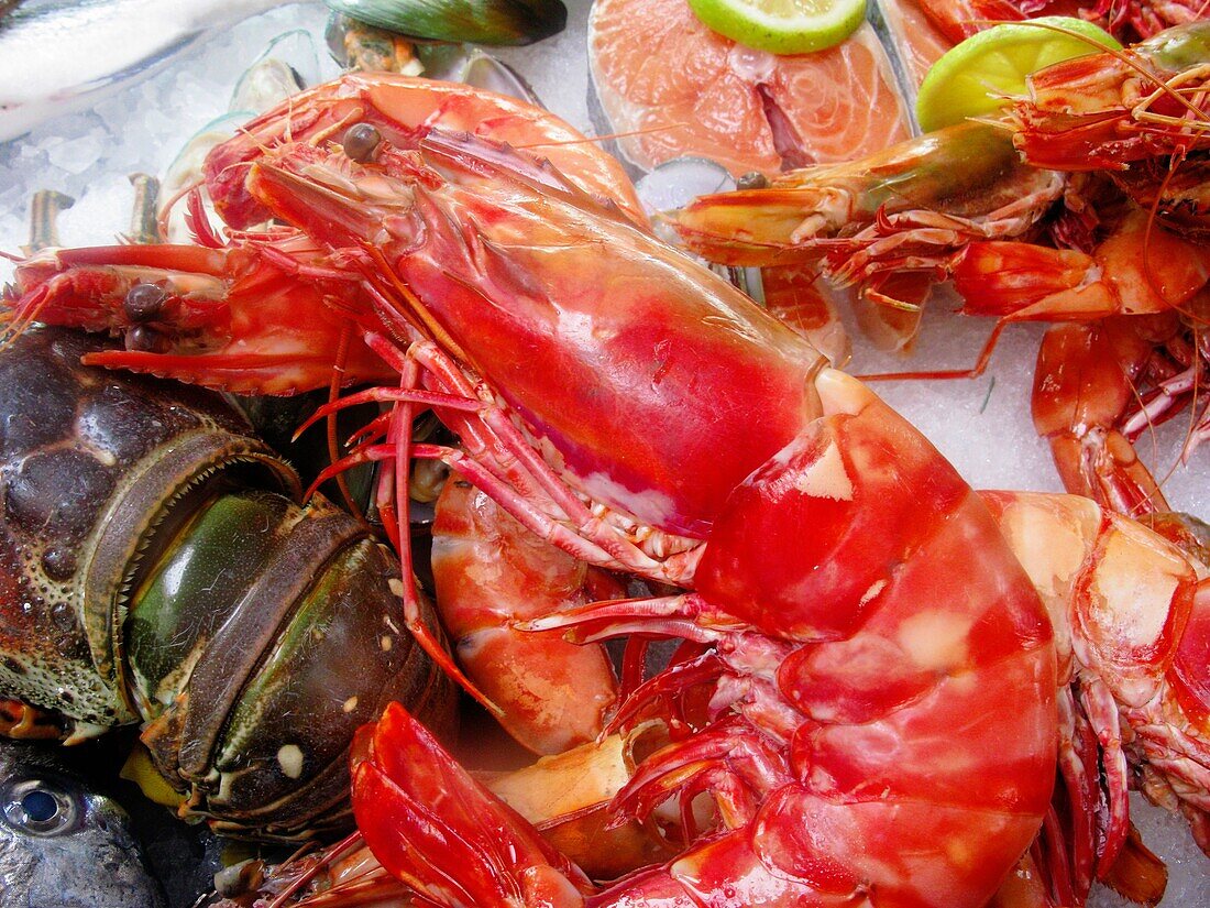 Display of Fresh Prawns and Lobster, Rethymnon Fish Restaurant , Crete, Greece