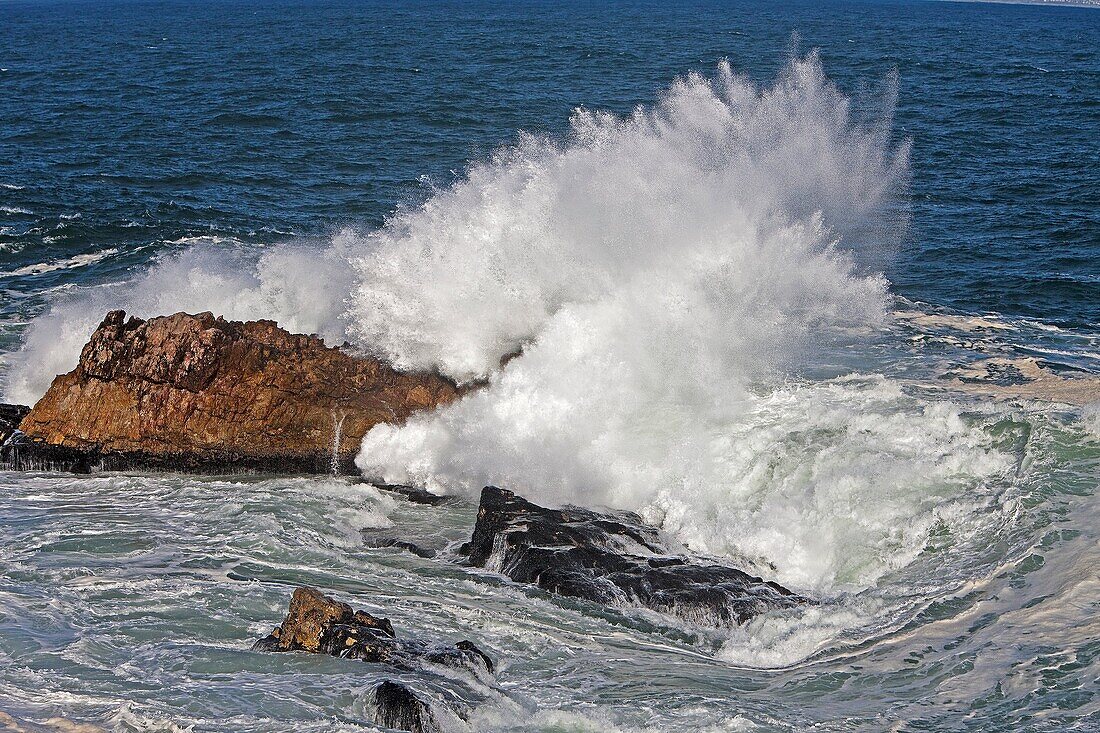 Waves, Coast at Hermanus in South Africa