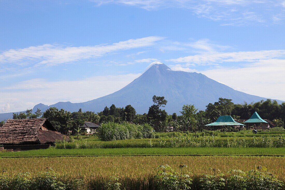 Indonesia, Java, Gunung Merapi volcano, agricultural fields,